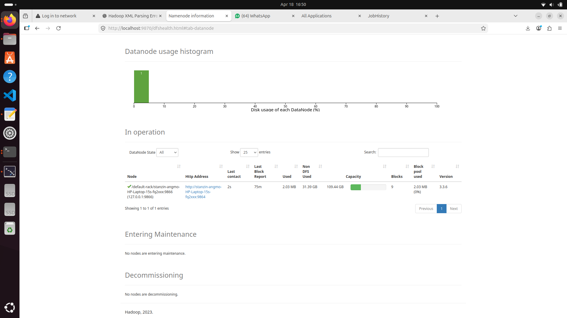 Hadoop terminal output showing active datanodes and HDFS capacity
